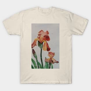 Smoky Bearded Iris Flowers T-Shirt